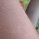 Image for article titled 10 Vestigial Traits You Didn't Know You Had